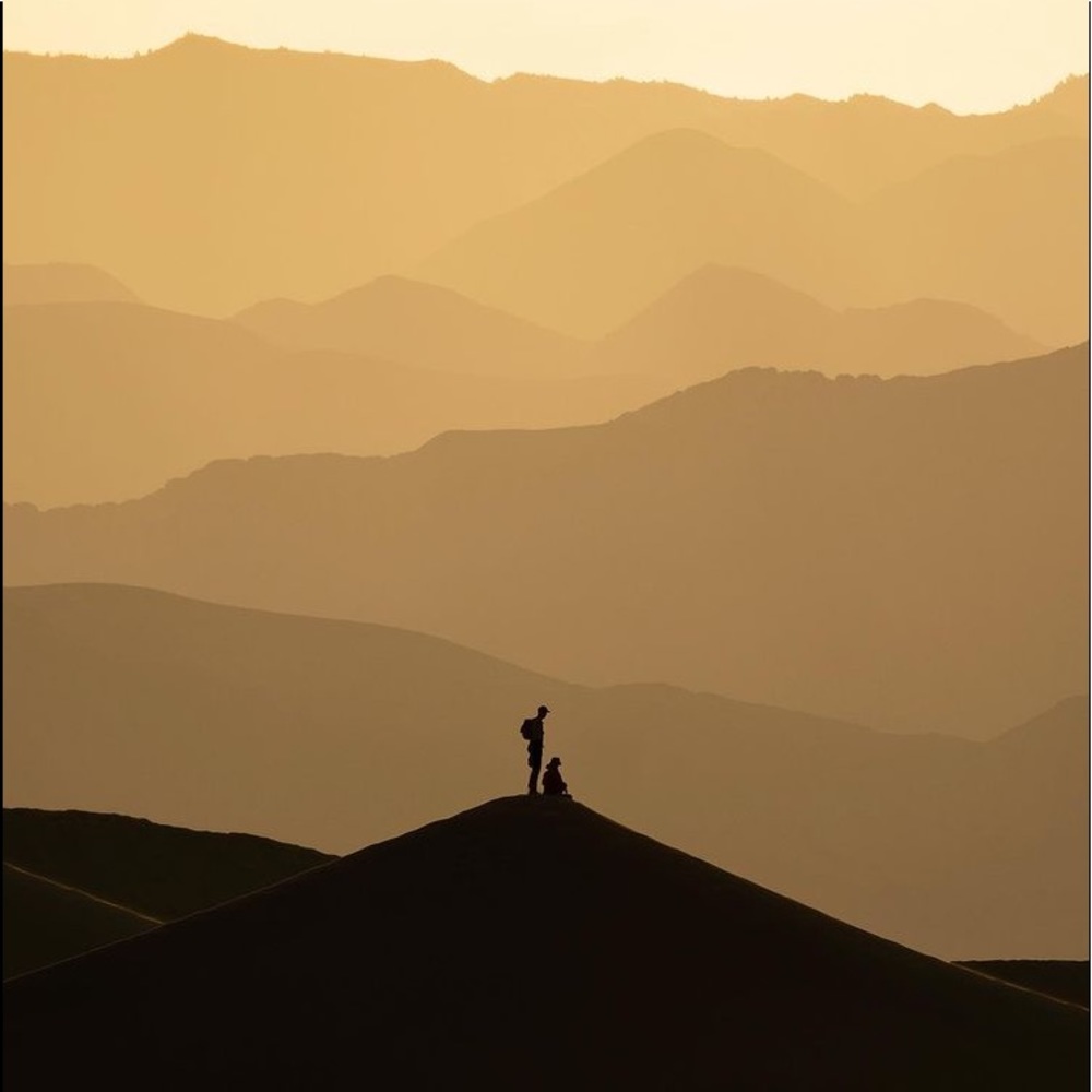 Meet your Posher, Jessie